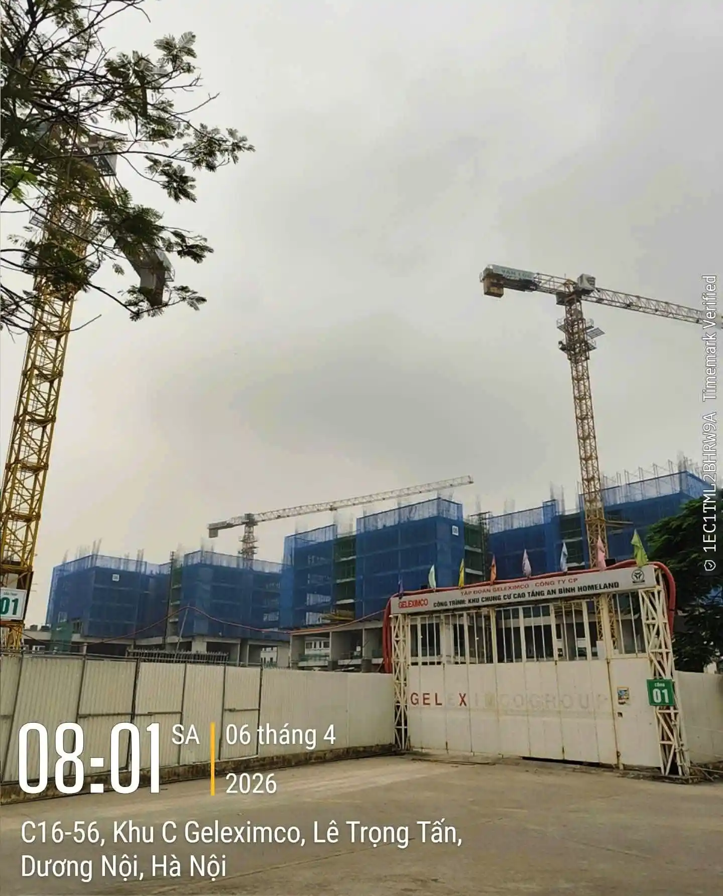 ABHL-Thực Tế Tòa C2